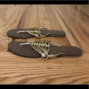 Ann Taylor Lea Bronze Flip Flop